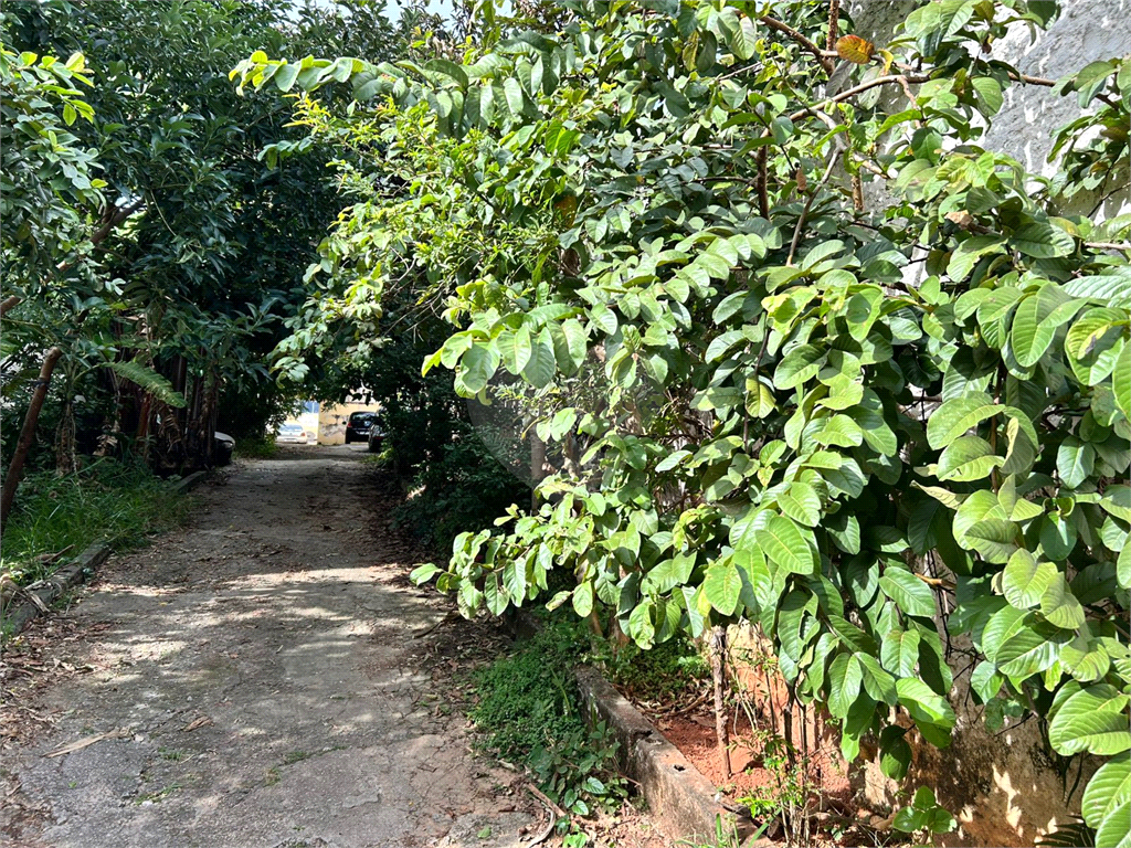 TERRENO em CASA VERDE