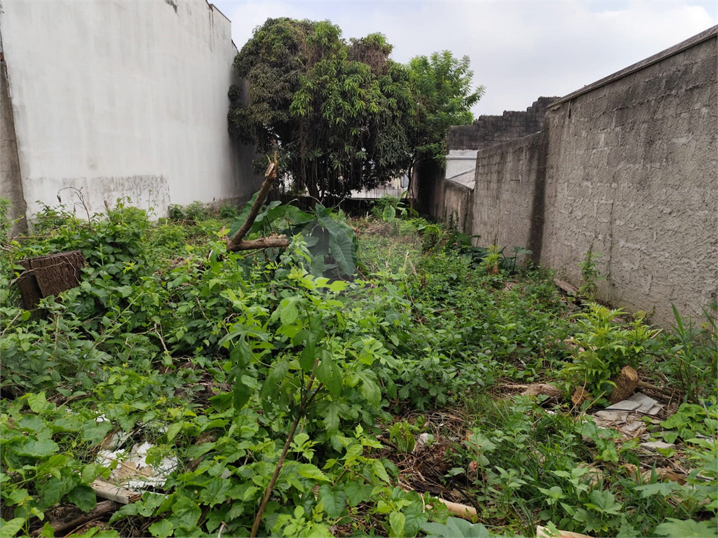 Terreno, 360 m² - Foto 5