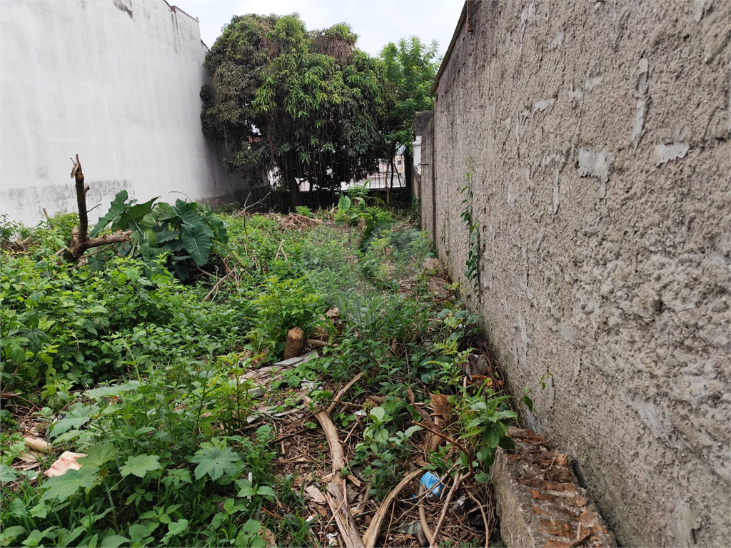 Terreno, 360 m² - Foto 3