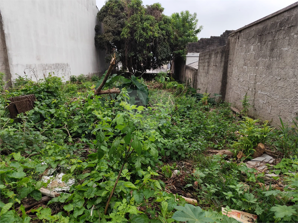 Terreno, 360 m² - Foto 7