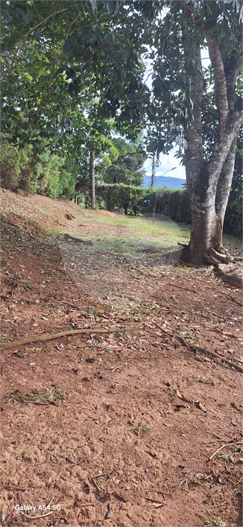 Casa, 3 quartos, 271 m² - Foto 13