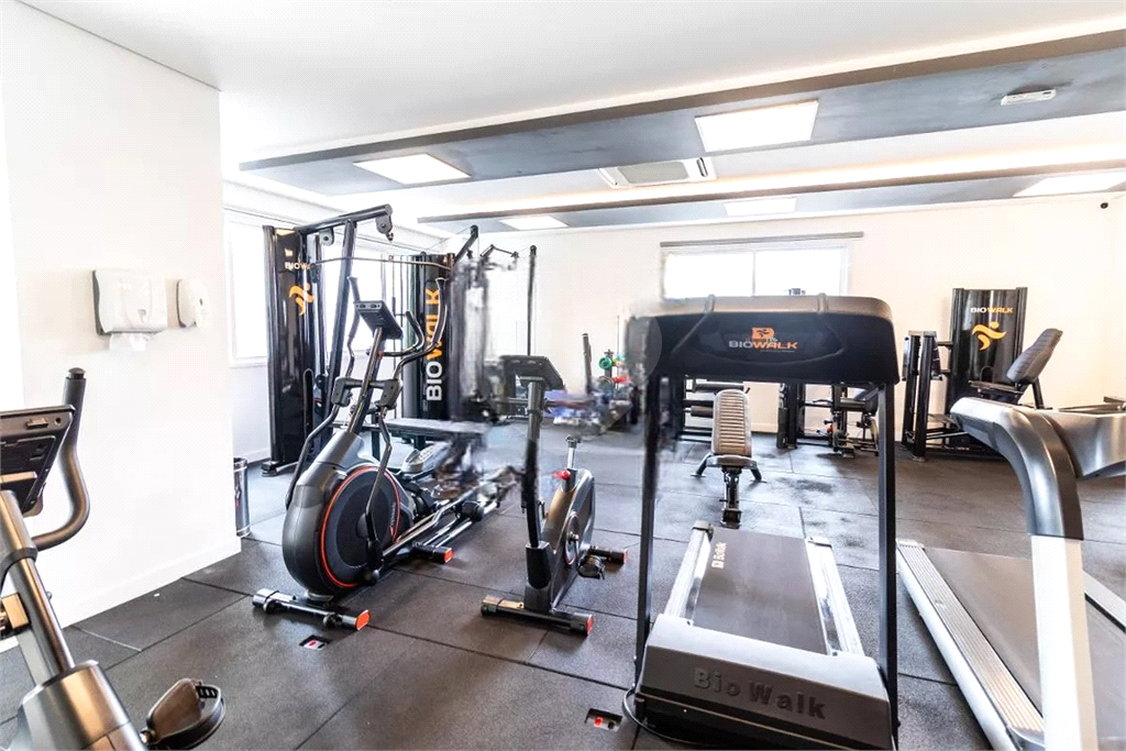 Apartamento Lapa
