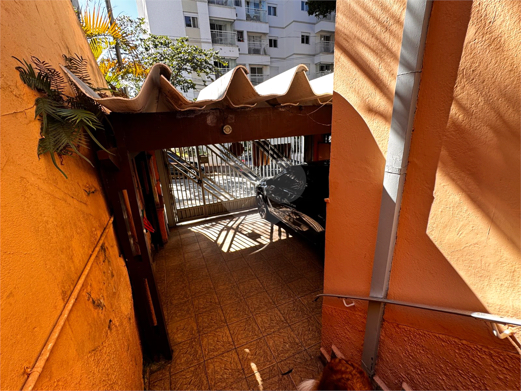 CASA em TUCURUVI