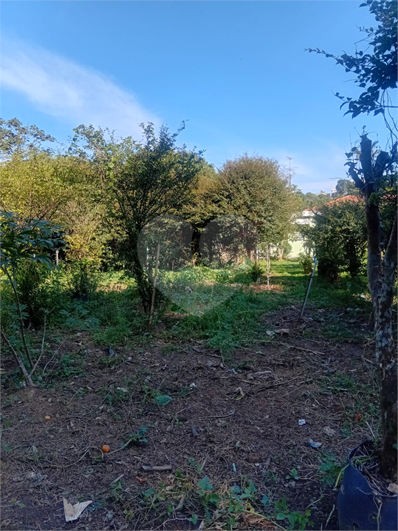ÁREA DE TERRA em HORTO