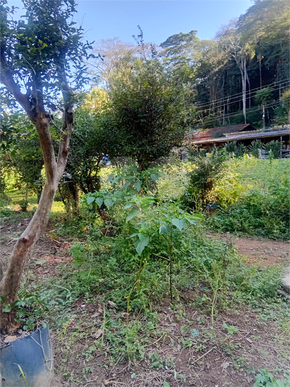 ÁREA DE TERRA em HORTO