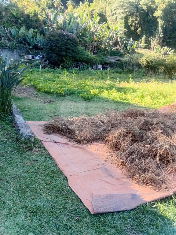 ÁREA DE TERRA em HORTO