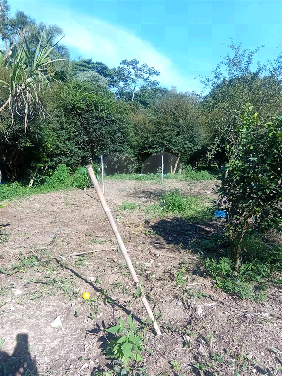 ÁREA DE TERRA em HORTO