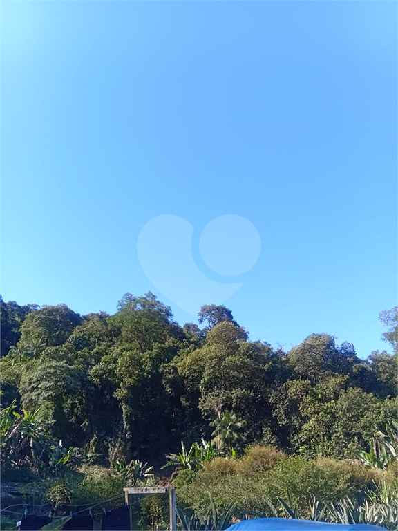 ÁREA DE TERRA em HORTO