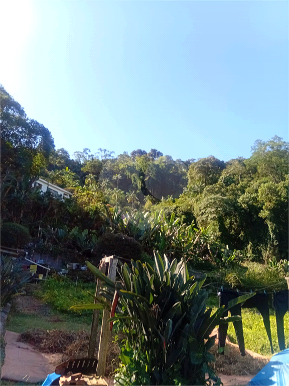 ÁREA DE TERRA em HORTO