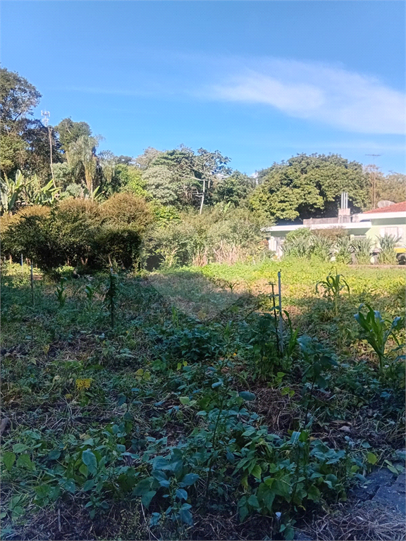 ÁREA DE TERRA em HORTO