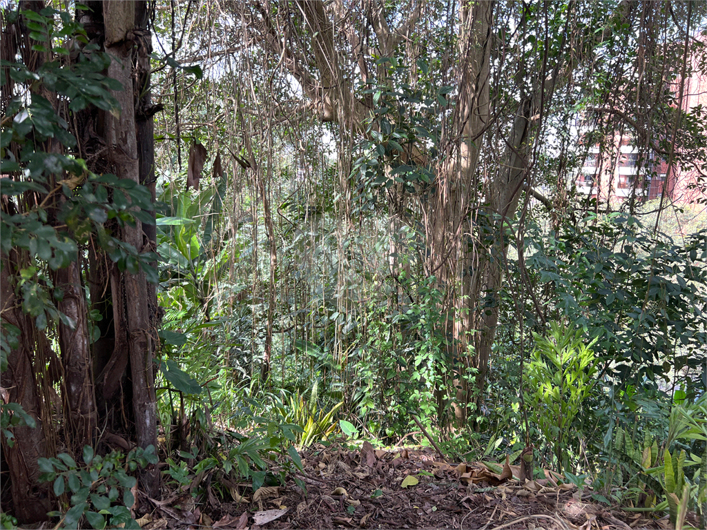 Vende-se: Terreno em Condomínio no Panamby – Morumbi, com 649,2m²!