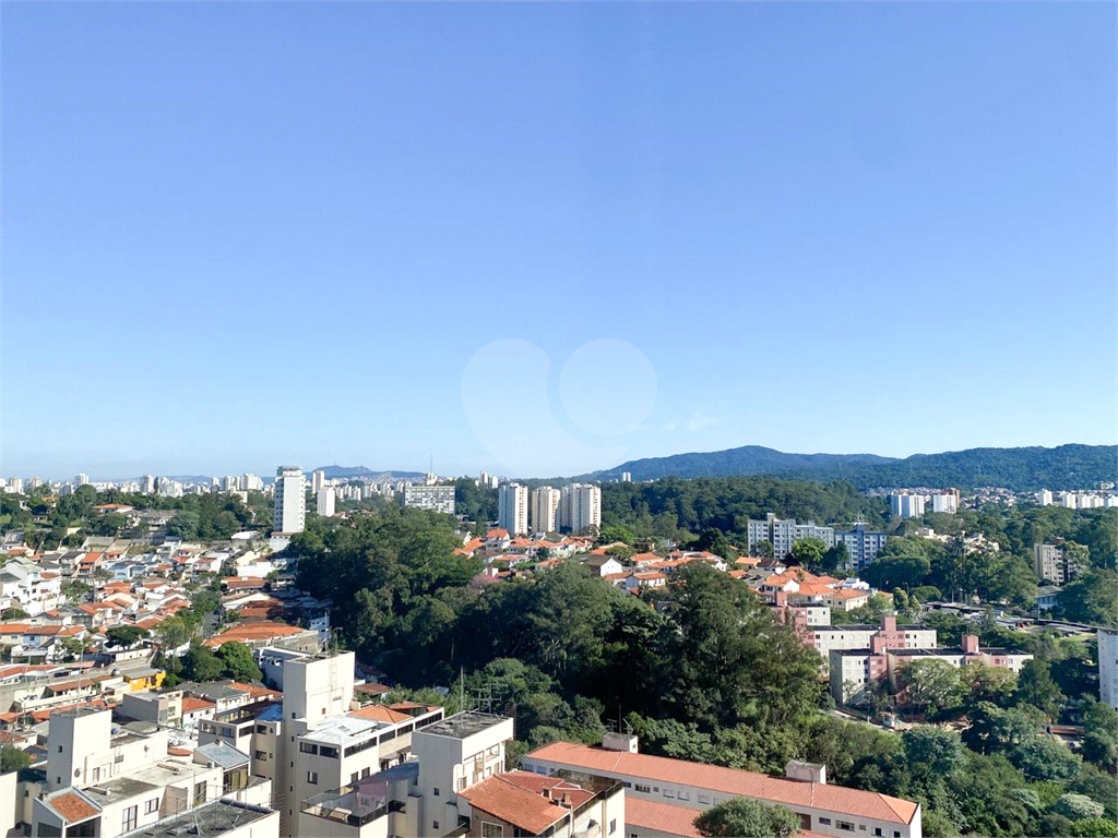 Apartamento 3 dormitórios e varanda gourmet no Tucuruvi