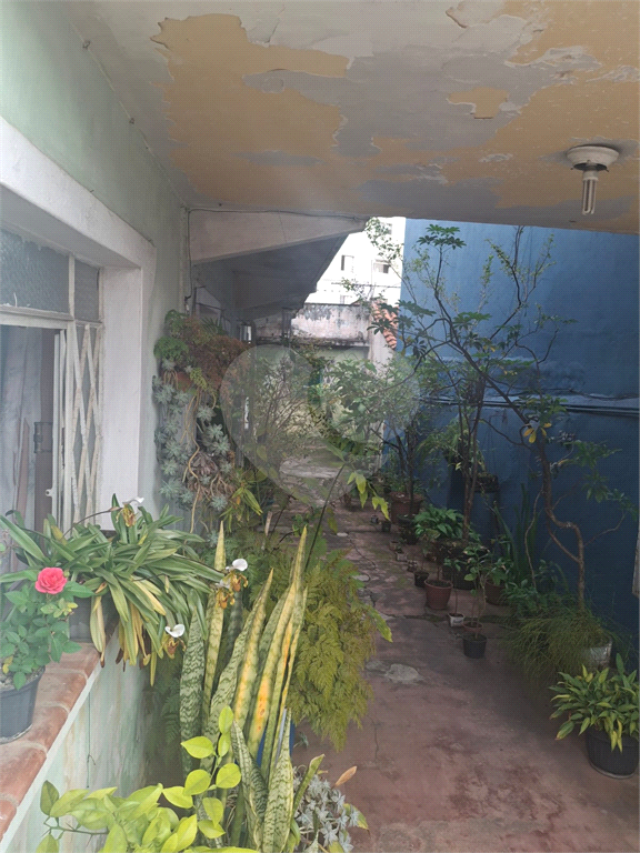 TERRENO  NO TUCURUVI  COM 184 M2 -+COM CASA VELHA PROXIMO AO METRO 