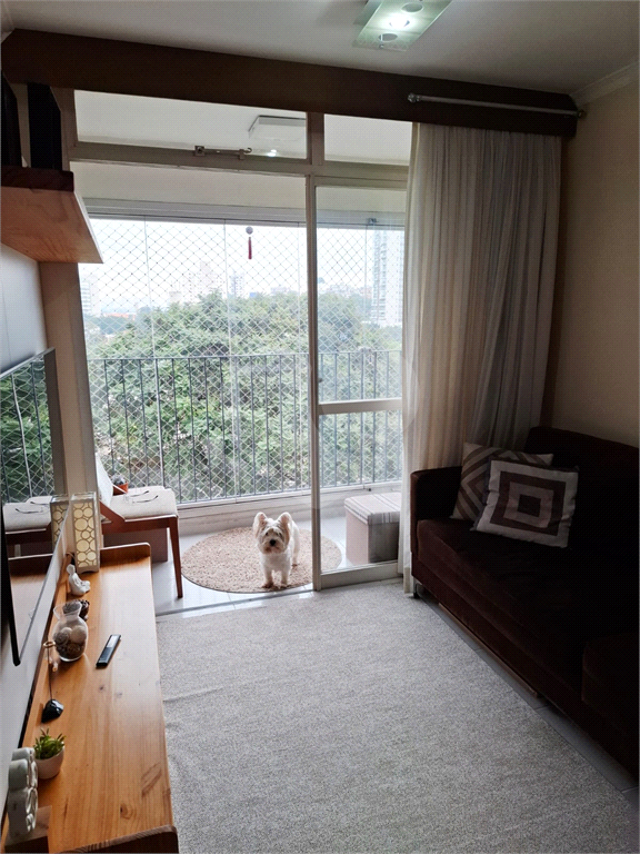 APARTAMENTO PARADA INGLESA