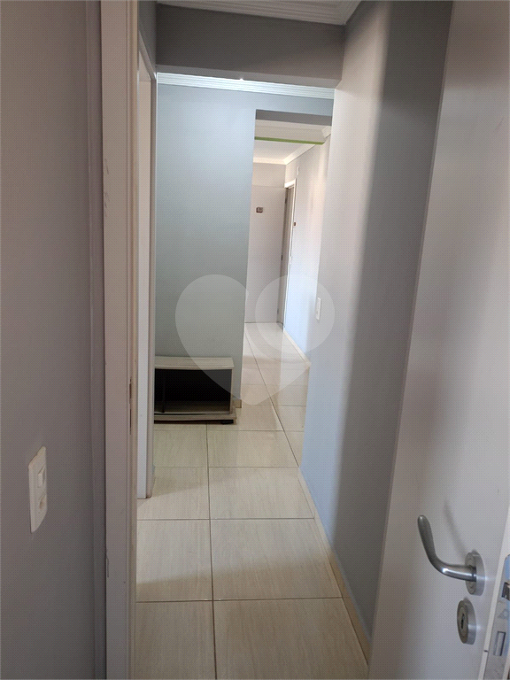 Apartamento 2 dormitórios  1 vaga - Jaraguá 