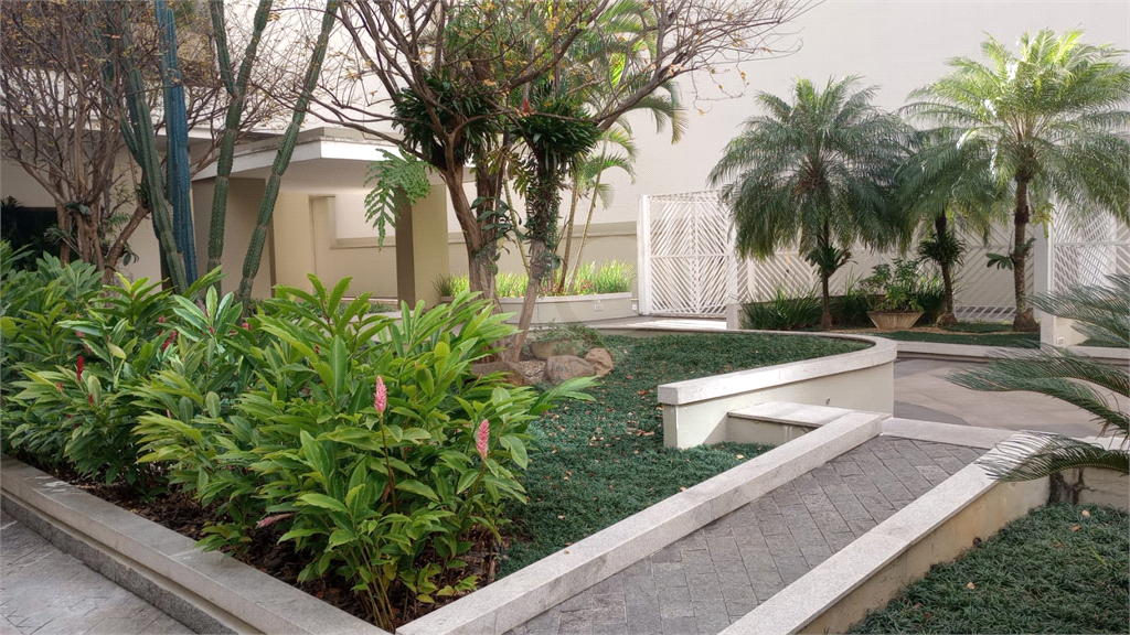 APARTAMENTO 3 DORMITÓRIOS À VENDA EM HIGIENÓPOLIS VENDER