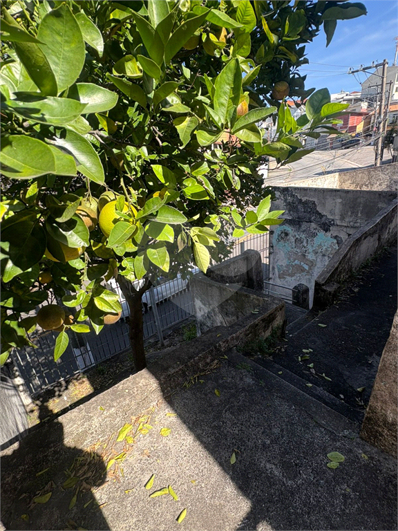 Terreno, 379 m² - Foto 13