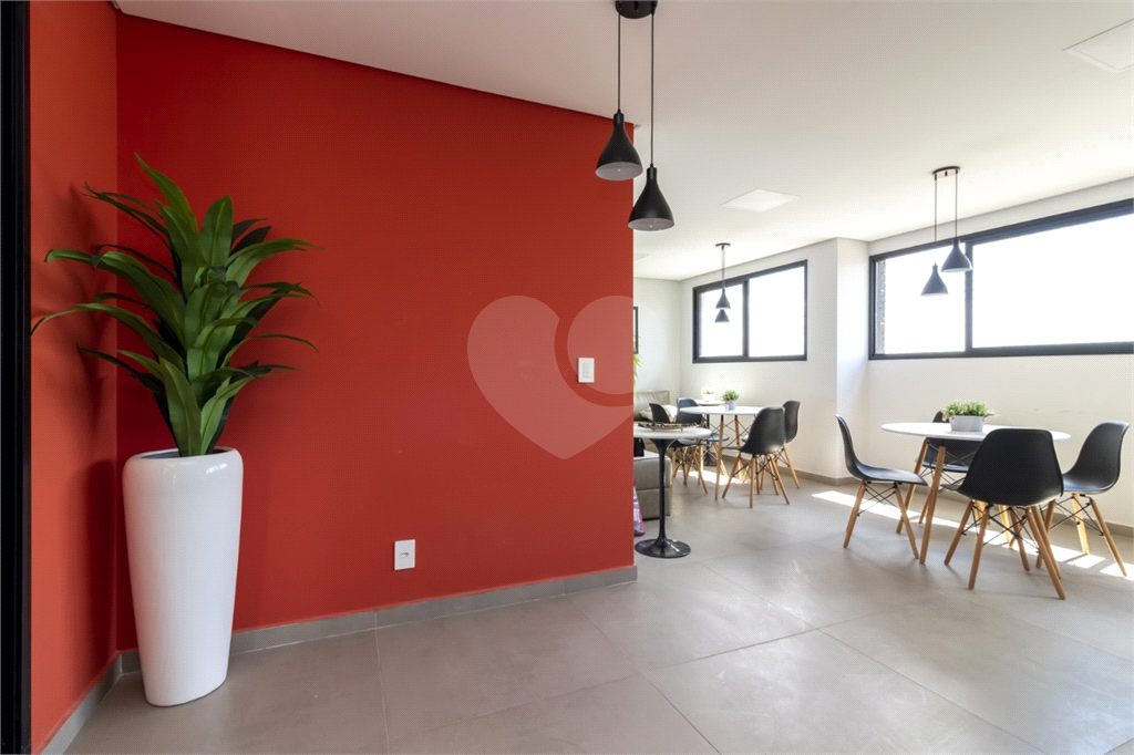 Apartamento NOVO  e mobiliado para locação Vila Guilherme