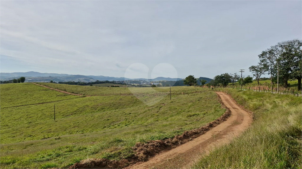 Terreno, 7 hectares - Foto 29