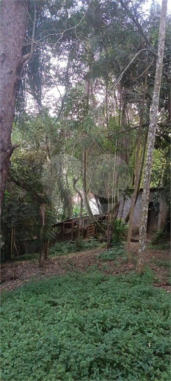 Casa, 3 quartos, 389 m² - Foto 19