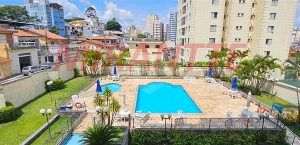 APARTAMENTO em MANDAQUI