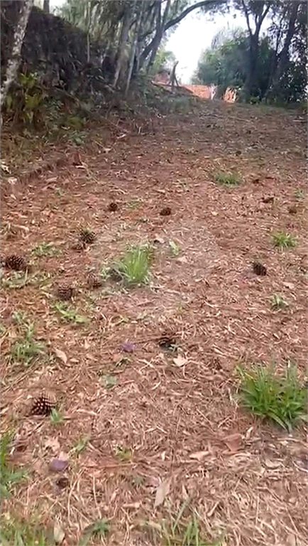 ÁREA DE TERRA em SERRA DA CANTAREIRA