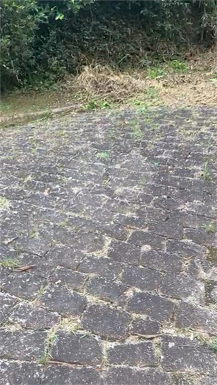 ÁREA DE TERRA em SERRA DA CANTAREIRA