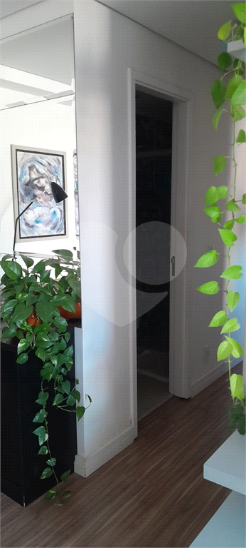 APARTAMENTO em VILA SÔNIA