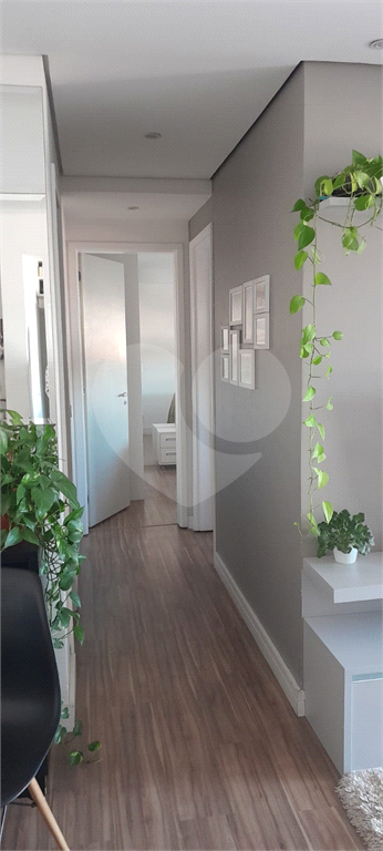 APARTAMENTO em VILA SÔNIA