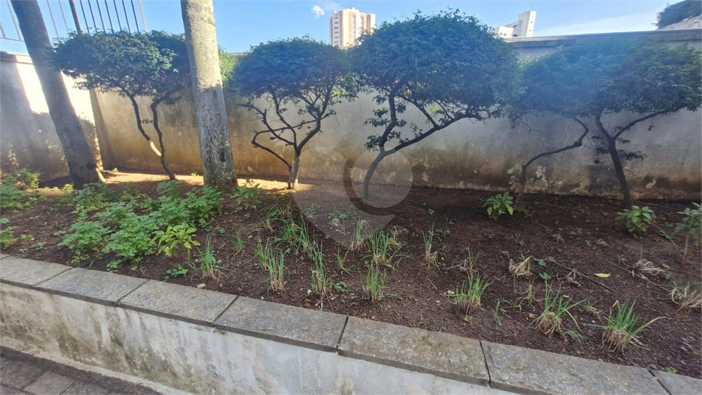 Apartamento para Locação | 3 dorm | 76 m² | 2 vagas em Santana