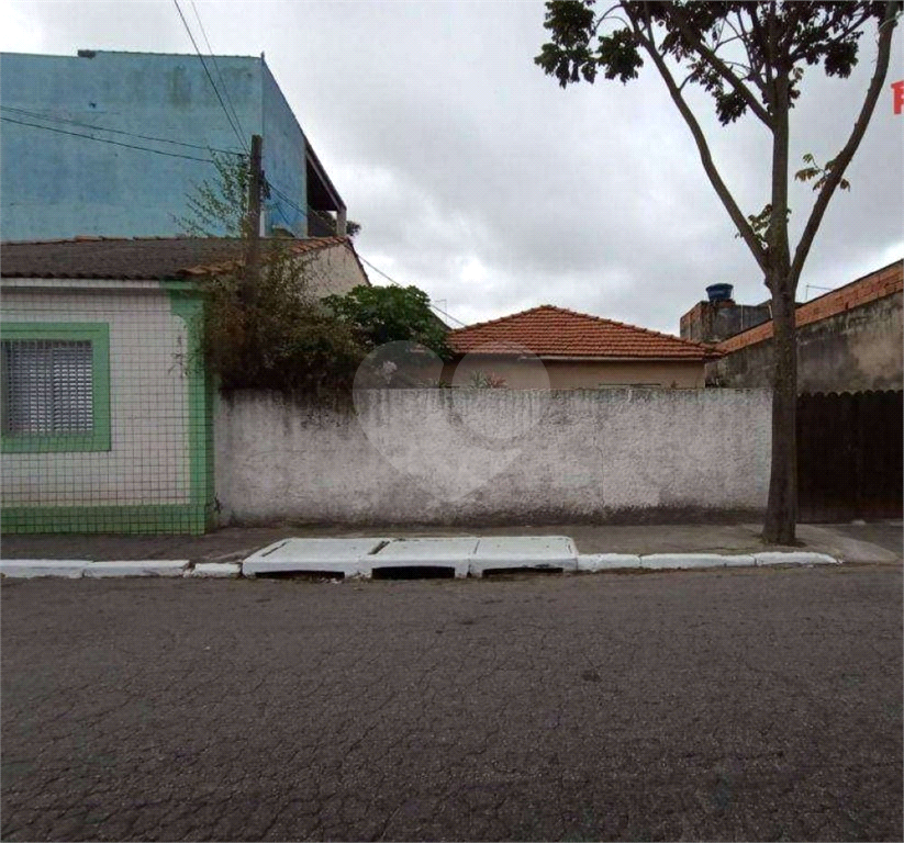 Terreno Plano à Venda 