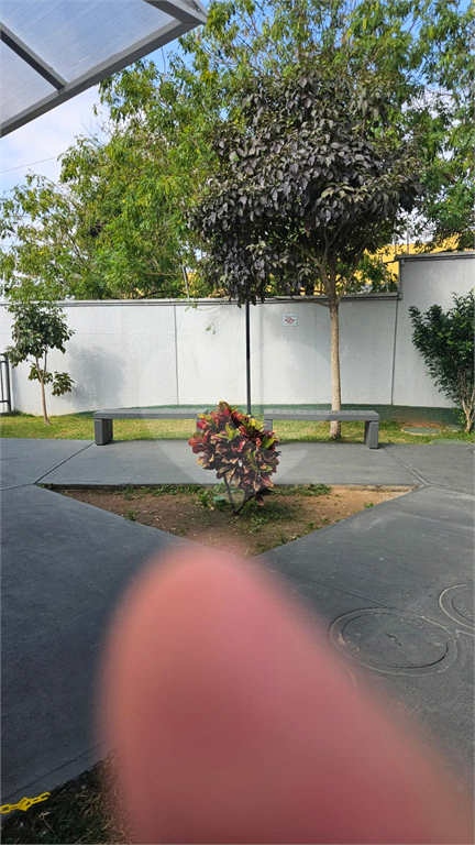 Excelente Apartamento na Vila Santa Maria