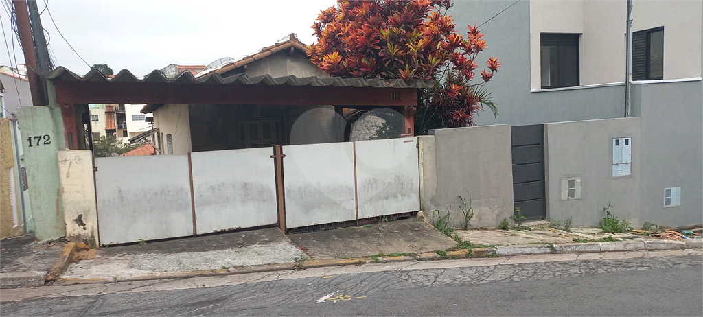 TERRENO em VILA GUSTAVO
