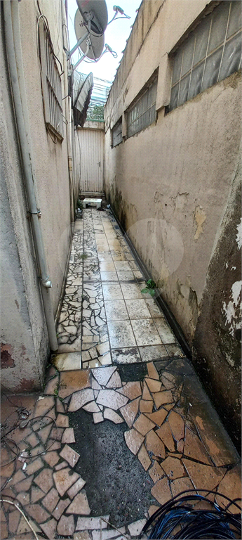TERRENO em VILA GUSTAVO