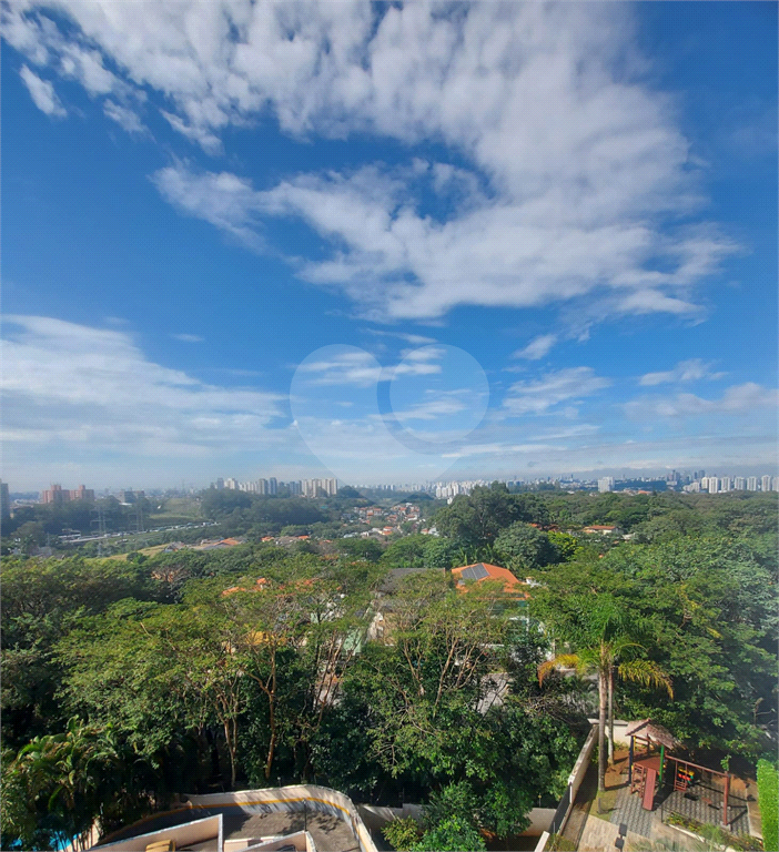Apartamento Residencial - Parque São Domingos