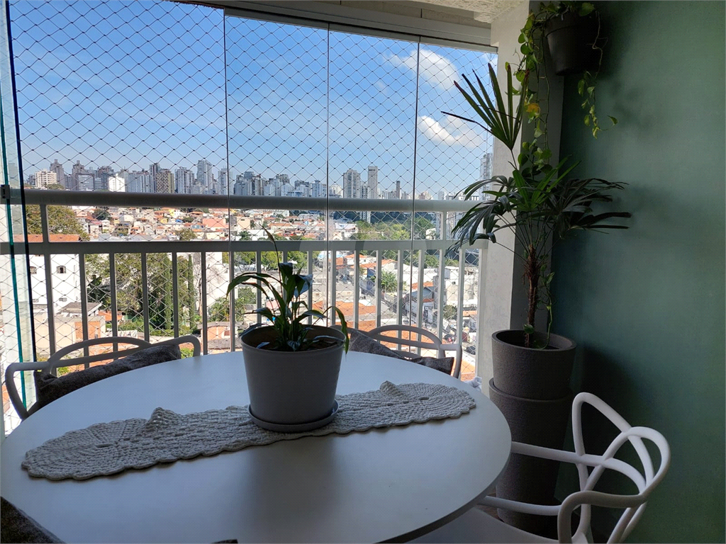 APARTAMENTO LINDO