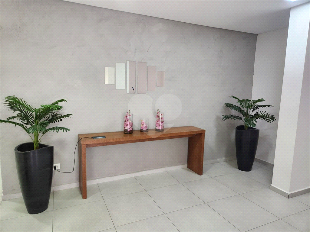APARTAMENTO LINDO