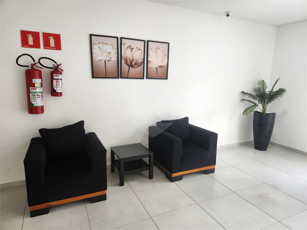 APARTAMENTO LINDO
