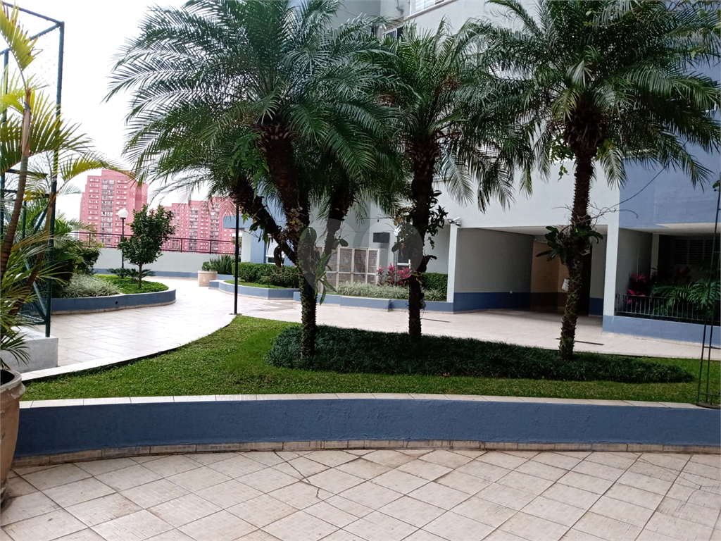 Apartamento à Venda na Casa Verde – 3 Dormitórios, Suíte, Sacada