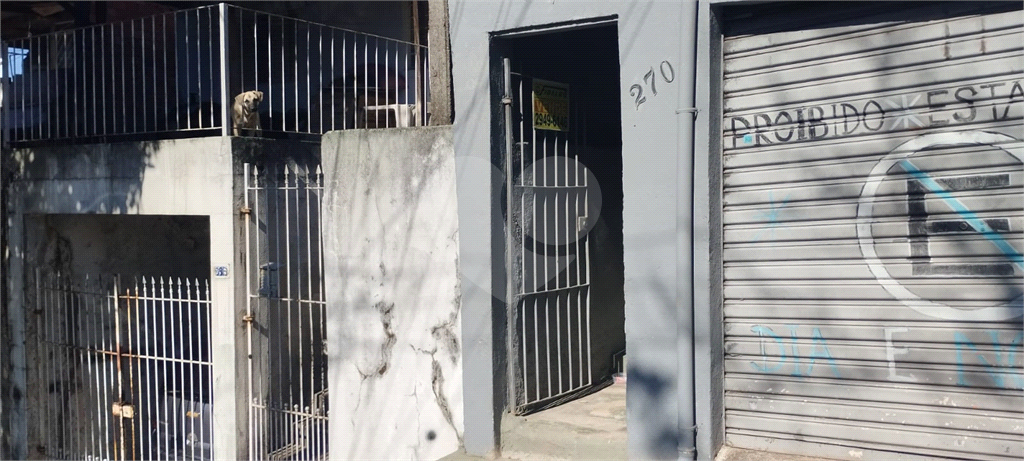 Casa, 4 quartos, 231 m² - Foto 1