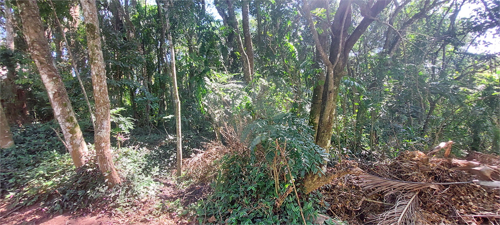 Casa de Condomínio - Foto 2