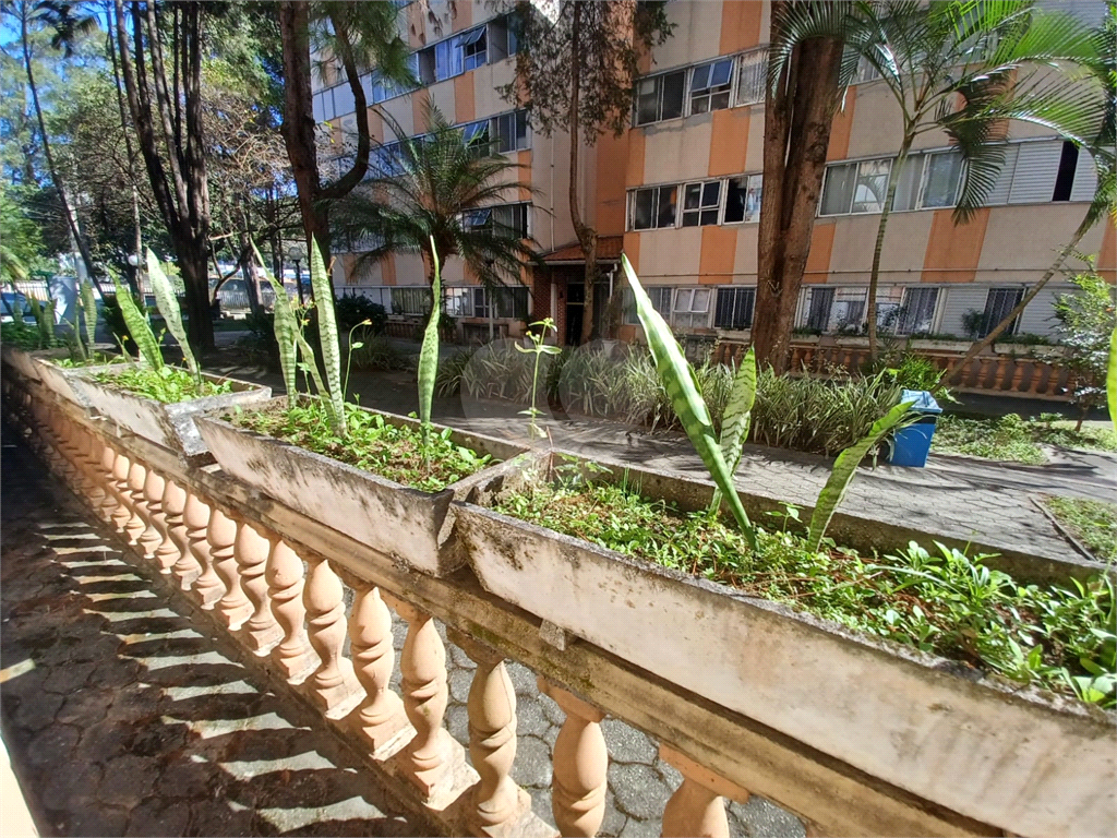 ?? Apartamento Térreo à Venda – 65m² | Jardim Leonor Mendes de Barros / Barro Branco (ZN) / Tucuruvi