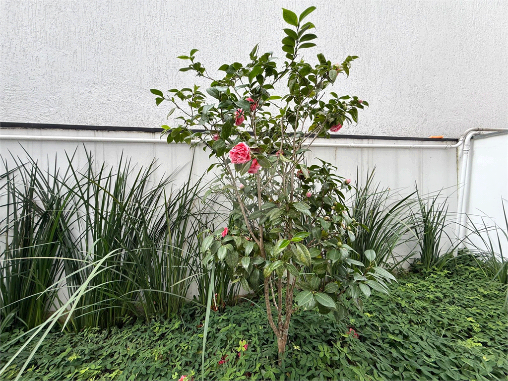 Apartamento alto padrão ! Venda Àgua fria - Jardim França