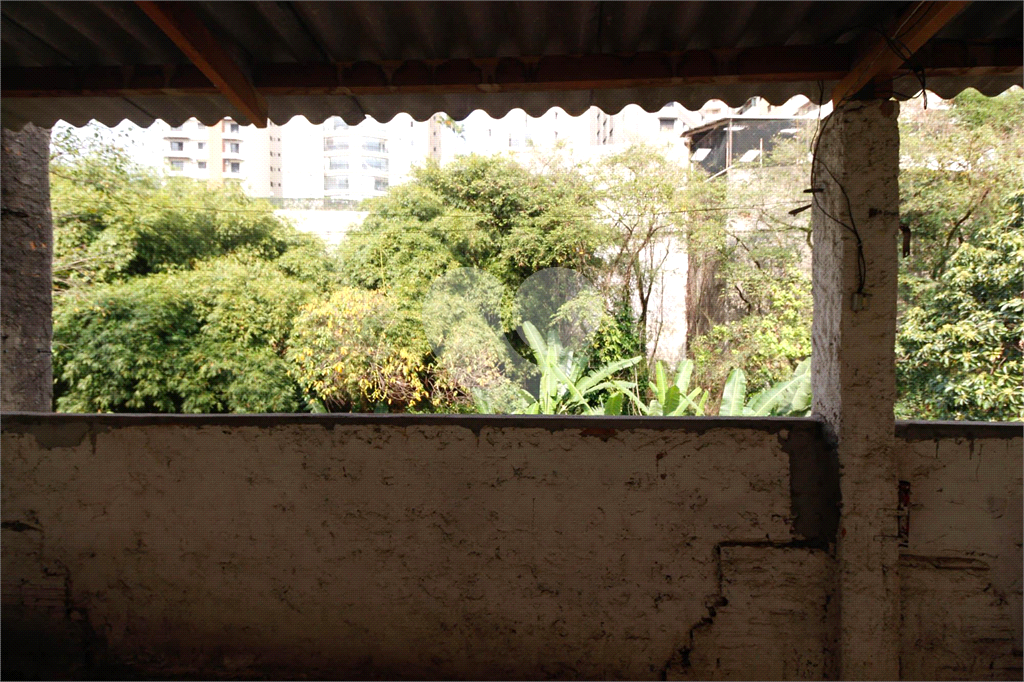 TERRENO em SANTA TERESINHA