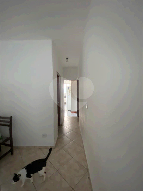 terreno maravilho para construtores .