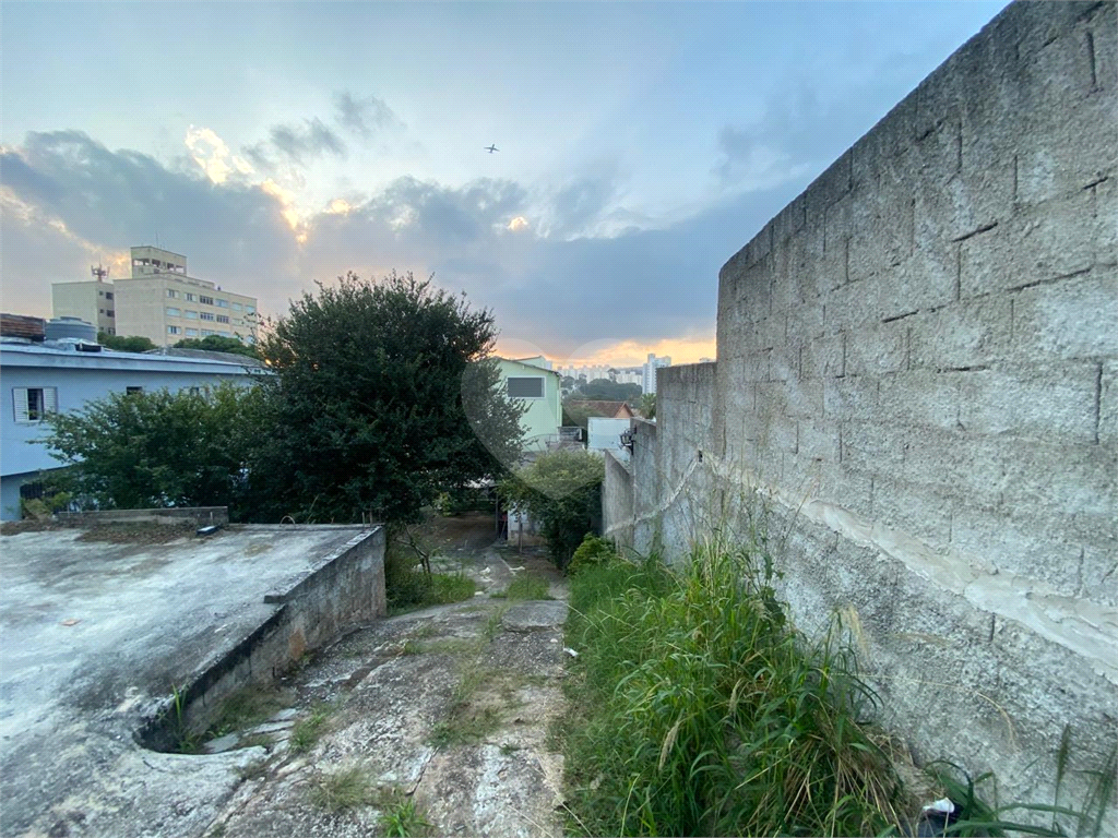 terreno maravilho para construtores .