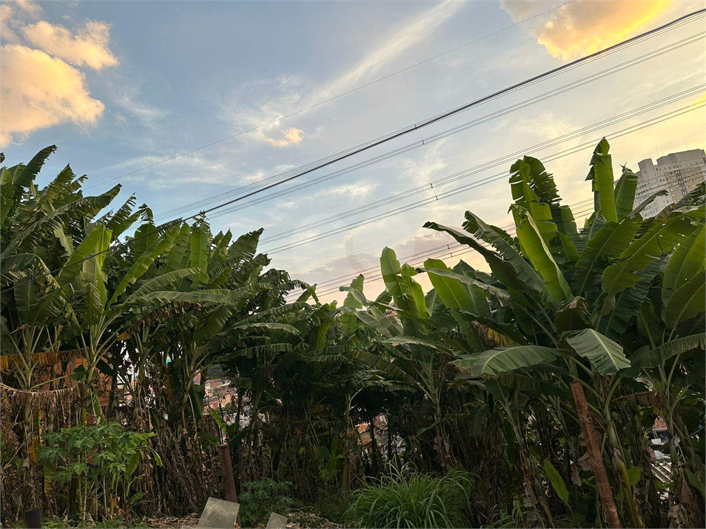 Terreno Vila Mangalot 700m²... possivel formar area maior.