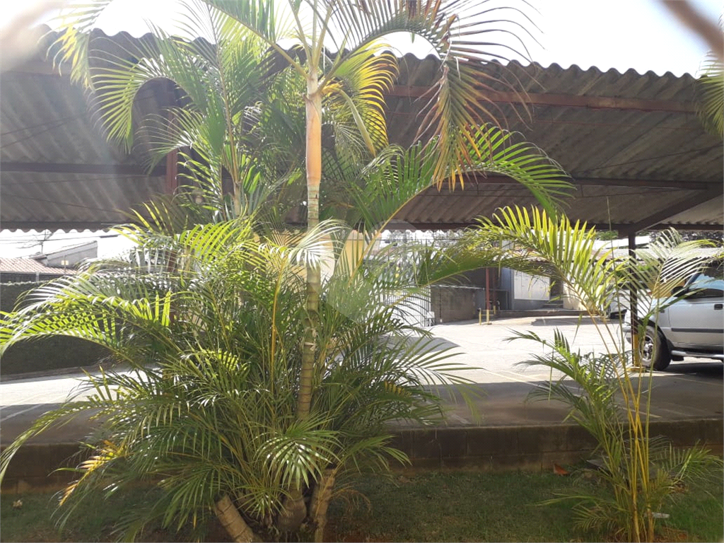 Apartamento à venda e aluguel com 2 quartos, 65m² - Foto 12