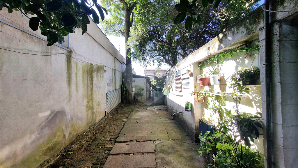 Terreno à venda de 500m² a 800mts do metrô Tucuruvi, na Vila Gustavo/Tucuruvi, São Paulo