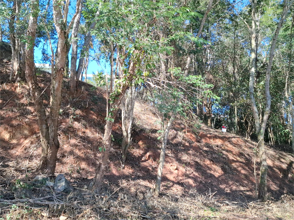 Terreno plano no condomínio Parque Itaguaçu da Cantareira, com 4.113m2 de área